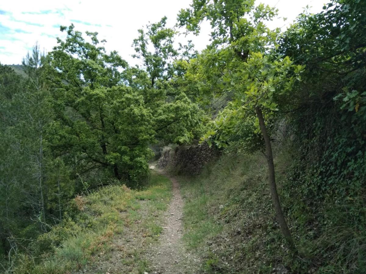 Pensjonat Casa De Amparo Y Jose Manuel Pavies Zewnętrze zdjęcie
